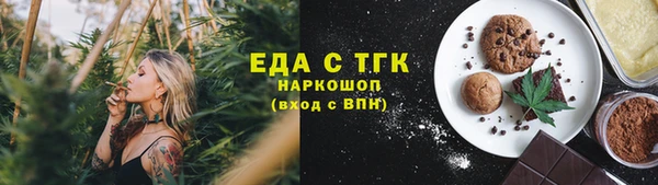 гашик Аркадак