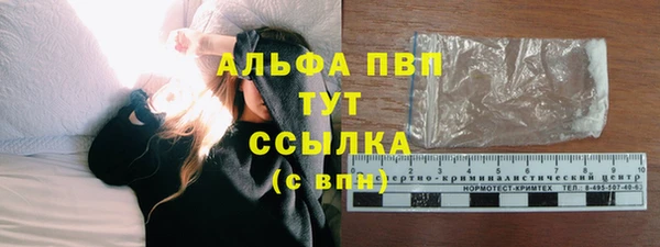 гашик Аркадак