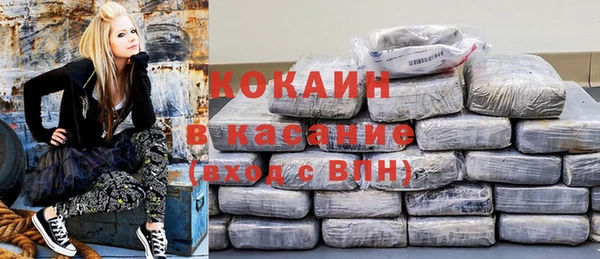 ГАЛЛЮЦИНОГЕННЫЕ ГРИБЫ Арсеньев
