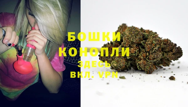 гашик Аркадак