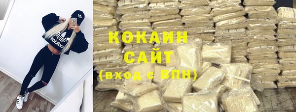 гашик Аркадак