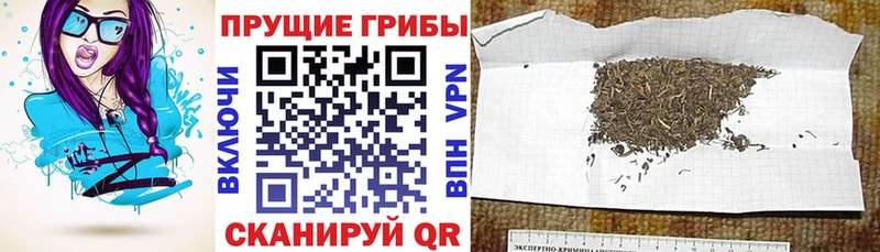 Псилоцибиновые грибы мицелий  Купить закладки  Полесск 